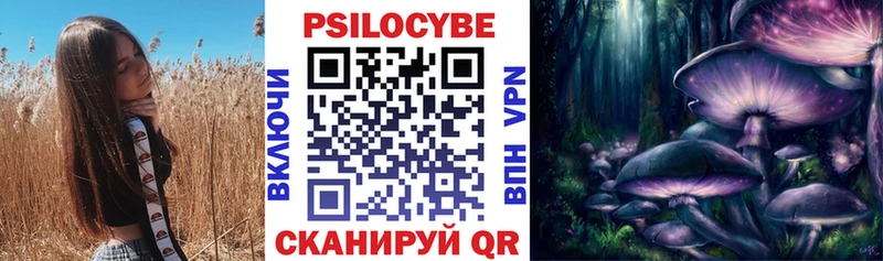 купить   Карабаново  МЕГА как войти  Псилоцибиновые грибы мицелий 